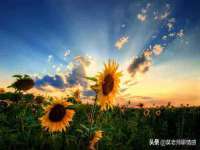 翠寒（上海）贸易有限公司