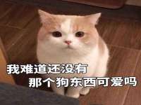 翠寒（上海）贸易有限公司