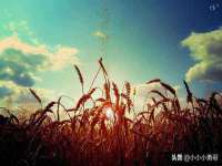 翠寒（上海）贸易有限公司