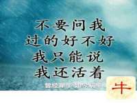 翠寒（上海）贸易有限公司