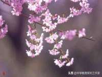 翠寒（上海）贸易有限公司