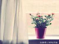 翠寒（上海）贸易有限公司