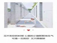 翠寒（上海）贸易有限公司