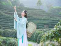 翠寒（上海）贸易有限公司