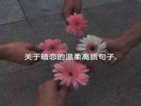 翠寒（上海）贸易有限公司
