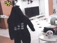 翠寒（上海）贸易有限公司