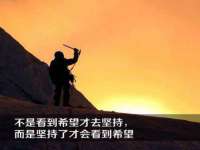 翠寒（上海）贸易有限公司