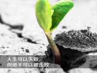 翠寒（上海）贸易有限公司