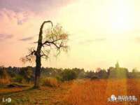 翠寒（上海）贸易有限公司