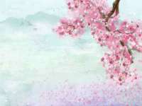 翠寒（上海）贸易有限公司