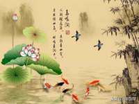 翠寒（上海）贸易有限公司