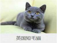 翠寒（上海）贸易有限公司