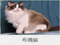 翠寒（上海）贸易有限公司
