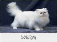 翠寒（上海）贸易有限公司