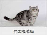 翠寒（上海）贸易有限公司