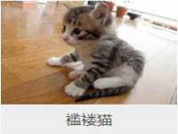 翠寒（上海）贸易有限公司