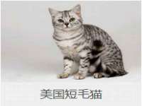 翠寒（上海）贸易有限公司