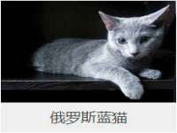 翠寒（上海）贸易有限公司