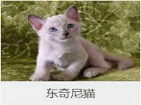 翠寒（上海）贸易有限公司