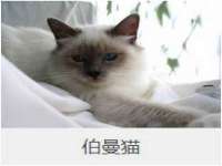 翠寒（上海）贸易有限公司