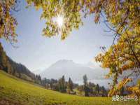 翠寒（上海）贸易有限公司