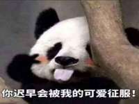 翠寒（上海）贸易有限公司