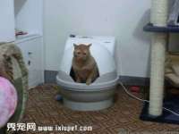 翠寒（上海）贸易有限公司