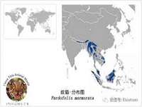 翠寒（上海）贸易有限公司