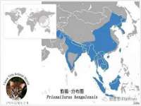 翠寒（上海）贸易有限公司
