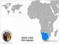 翠寒（上海）贸易有限公司