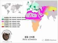 翠寒（上海）贸易有限公司