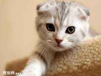 翠寒（上海）贸易有限公司