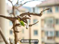 翠寒（上海）贸易有限公司