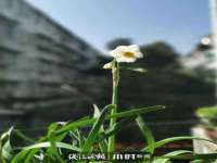 翠寒（上海）贸易有限公司