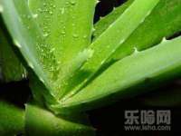 翠寒（上海）贸易有限公司