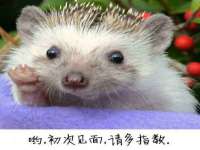 翠寒（上海）贸易有限公司