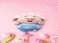 翠寒（上海）贸易有限公司