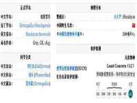 翠寒（上海）贸易有限公司