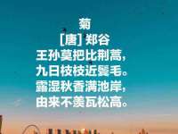 翠寒（上海）贸易有限公司