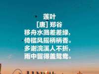 翠寒（上海）贸易有限公司