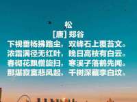 翠寒（上海）贸易有限公司