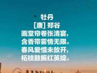 翠寒（上海）贸易有限公司