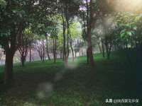 翠寒（上海）贸易有限公司