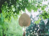 翠寒（上海）贸易有限公司