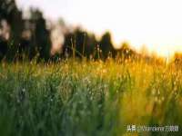 翠寒（上海）贸易有限公司