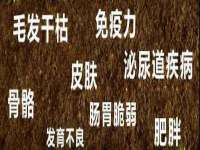 翠寒（上海）贸易有限公司