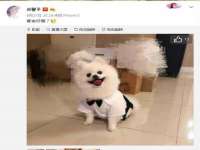 翠寒（上海）贸易有限公司
