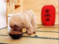 翠寒（上海）贸易有限公司