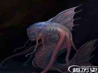 翠寒（上海）贸易有限公司