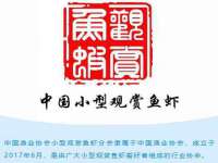 翠寒（上海）贸易有限公司